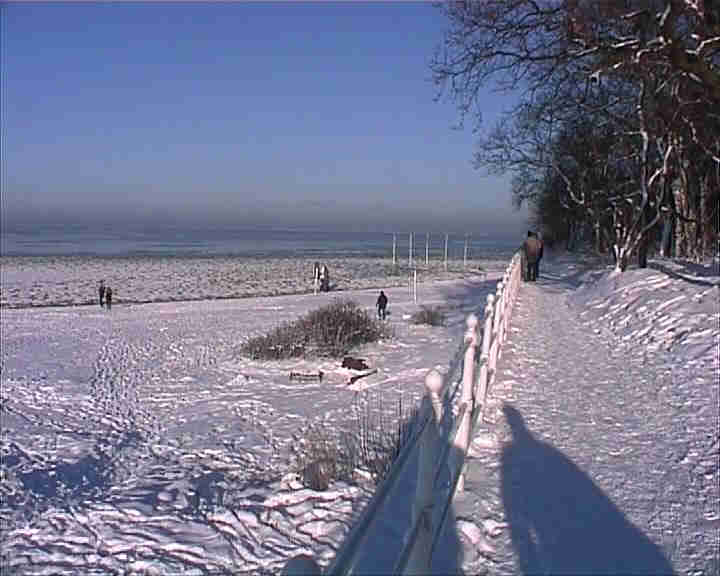 Winter Strand